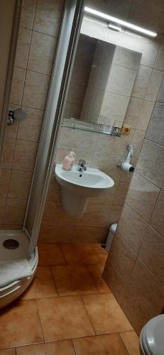 uma casa de banho com um lavatório e um chuveiro em Penzion Bernardýn em Bořetice
