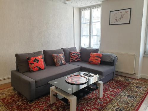 un salon avec un canapé et une table basse dans l'établissement LE MATIN CALME - Charme ancien - Vue canal, à Dole