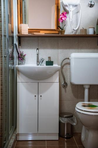 a bathroom with a sink and a toilet at Guest House Mylan in Ličko Petrovo Selo
