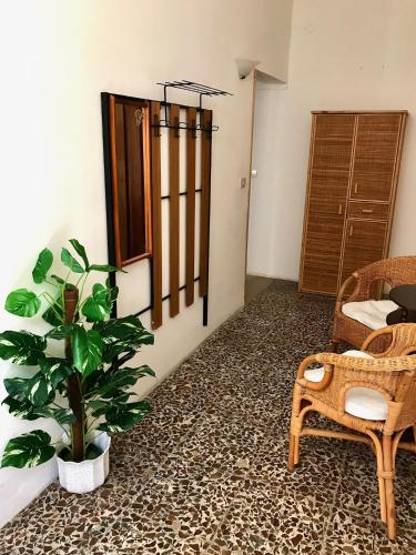 a living room with a chair and a plant at Casa in centro a due passi dal mare in Santa Teresa Gallura