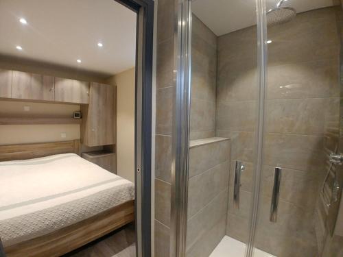 una camera con doccia e un letto. di Gîtes Le P'tit Paradis du Ried a Sundhouse