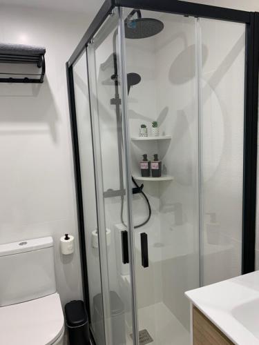 y baño con ducha de cristal y aseo. en APARTAMENTO MEDINA AZAHARA, en Córdoba