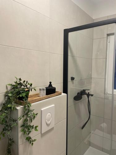 a bathroom with a shower with a glass door at Apartment Seaside Orebić in Orebić