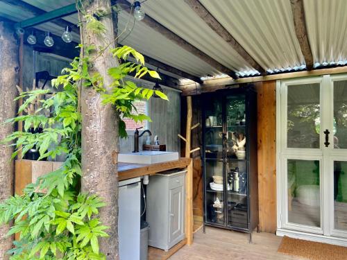 eine Außenküche mit einem Baum in der Mitte in der Unterkunft Hofstede klein Rozendaal, Tuinhuis in Asch