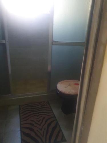 a small bathroom with a toilet and a rug at Hospedagem em Delcastilho in Rio de Janeiro