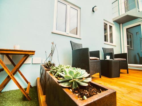 a living room with a cactus in a planter at VillaMar Figueira da Foz in Figueira da Foz