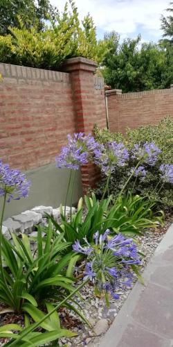 COMO EN CASA – Photos 5