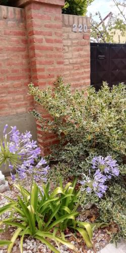 COMO EN CASA – Photos 4