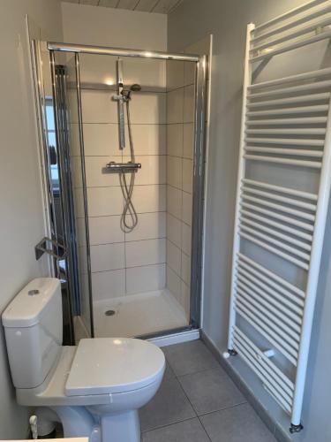 a bathroom with a shower and a white toilet at Gîte l'oustal de la fontaine Grand Causses et Gorges du Tarn in Mostuéjouls