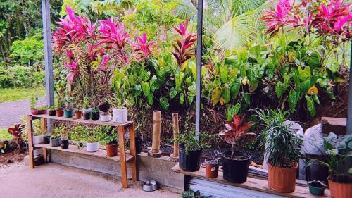 Casa de Flores – Photos 4