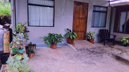 Casa de Flores – Photos 2