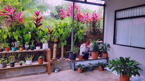 Casa de Flores – Photos 5