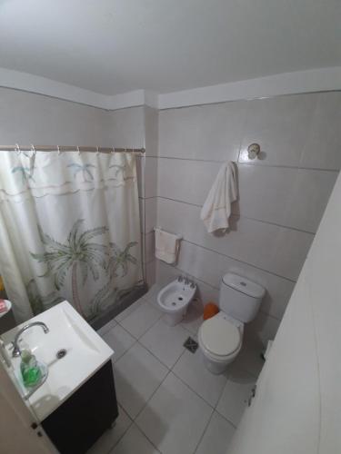 La salle de bains est pourvue de toilettes, d'un lavabo et d'une douche. dans l'établissement Departamento MeR, à Río Cuarto