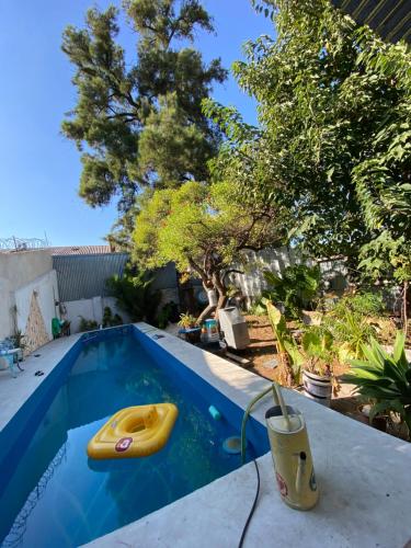 - une piscine avec un jouet jaune dans une cour dans l'établissement ProyectoQva Glamping, à Villa Ballester