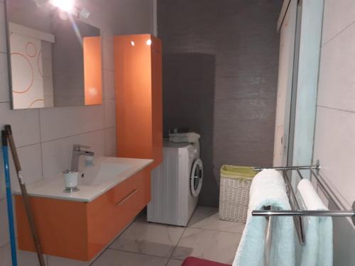 uma casa de banho com um lavatório e uma máquina de lavar roupa em Le colibri voyageur em Sans Pareil