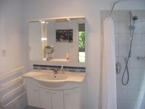 a bathroom with a sink and a mirror and a shower at Hosts on the Coast - Vista Verde in Pauanui