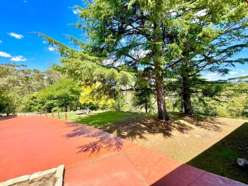a tree in the middle of a park with a sidewalk at Linden Lodge in Linden