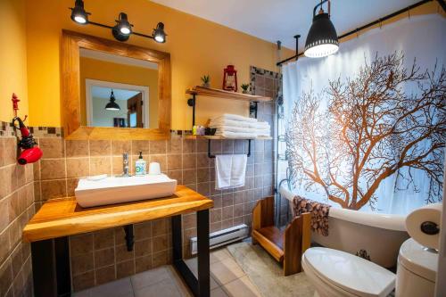 a bathroom with a sink and a tub and a shower at Bed and Breakfast Panorama in Saint-Laurent-de-l'ile d'Orleans