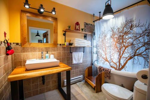 W łazience znajduje się umywalka, wanna i prysznic. w obiekcie Bed and Breakfast Panorama w mieście Saint-Laurent-de-l'ile d'Orleans