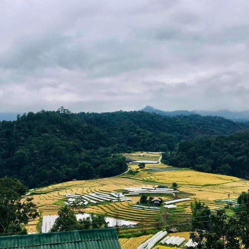 an aerial view of a field with mountains in the background at Motho Homestay โมโทโฮมสเตย์ in Chom Thong