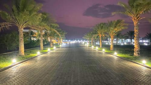 a street lined with palm trees at night at Jawharat Bidiyah Resort "JBR" in Al Ghabbī
