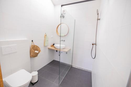 a bathroom with a shower and a toilet at Babyky apartmány in Jindrichuv Hradec