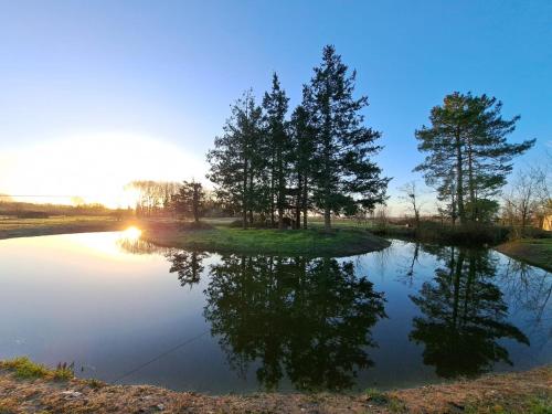 a reflection of trees in a pond at sunset at Le Bonheur est dans le Pré. in Saint-Romain-sur-Cher