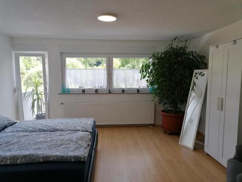 ein Schlafzimmer mit einem Bett, einer Pflanze und einem Fenster in der Unterkunft Ferienwohnung „Prims“ in Wadern