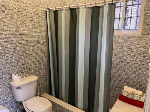 a bathroom with a toilet and a shower curtain at Villa Piña Alojamiento rural in San Rafael