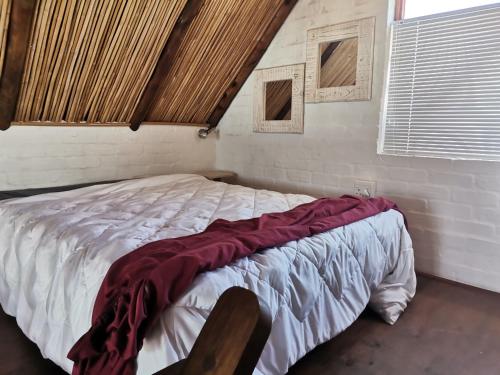 a bedroom with a bed with a red blanket on it at Dwarskersbos,Skilliepark in Velddrif