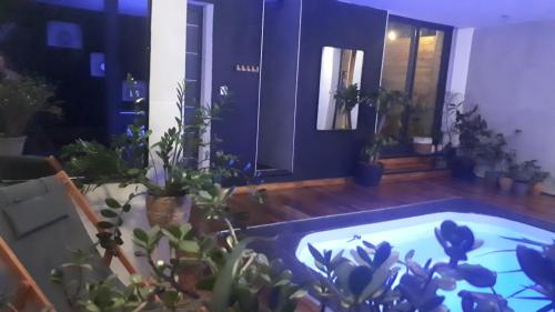 a room with potted plants and a swimming pool at A l'Origine in Lille