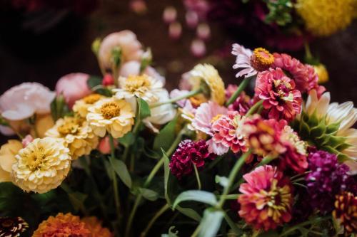 a bunch of colorful flowers in a vase at Saturn's Return in Friday Harbor