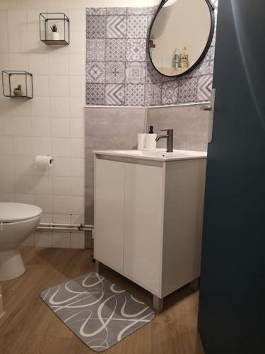 a bathroom with a sink and a mirror and a toilet at Appartement cosy au centre-ville de Toulouse in Toulouse