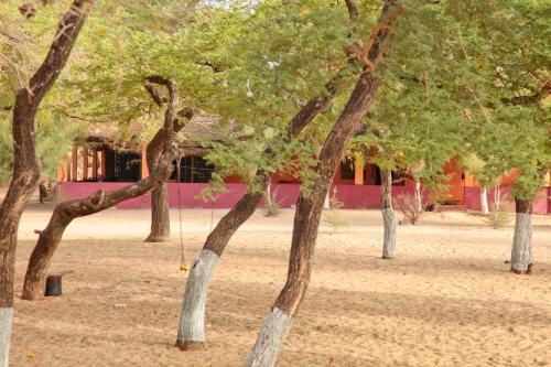 a group of trees with a swing in front of a building at Jinack Lodge in Jinack Island