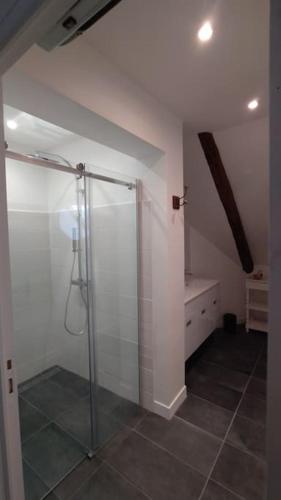 La salle de bains est pourvue d'une cabine de douche en verre. dans l'établissement Gîte aux trois suites parentales et son jacuzzi, à Montgé
