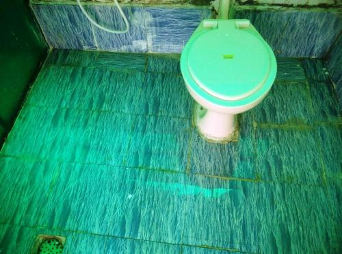 Hi Bengaluru في بانغالور: حمام مع مرحاض أخضر في الغرفة