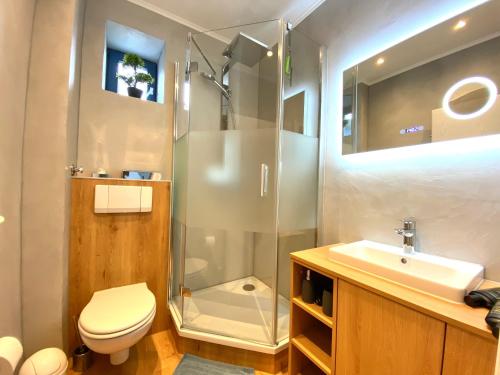 a bathroom with a shower and a toilet and a sink at Strandvilla Miramare in Boltenhagen