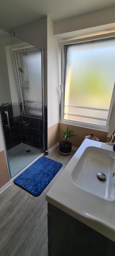a bathroom with a shower and a sink and a tub at Gîte de l'Aff in La Gacilly