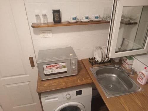 een kleine keuken met een wastafel en een wasmachine bij City Center Novi Sad in Novi Sad