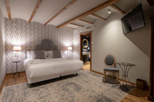 a bedroom with a bed and a tv and a chair at Hotel Cetina Palacio de los Salcedo in Baeza