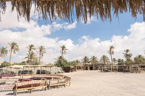 a beach with benches and palm trees in the background at Kfar Hanokdim - Desert Guest Rooms in Arad