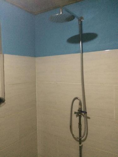 a shower in a bathroom with a shower head at Jinack Lodge in Jinack Island