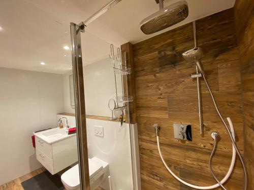 a bathroom with a shower with a toilet and a sink at Ferienwohnung Schwarzwaldglueck in Feldberg