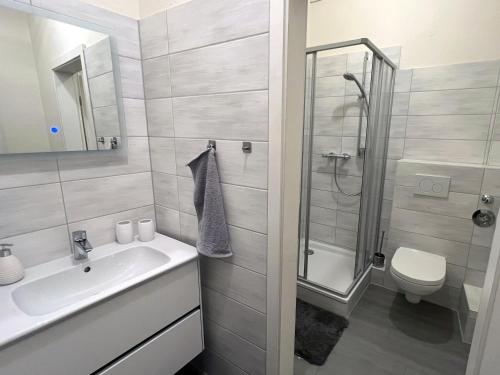ein Bad mit einem Waschbecken, einer Dusche und einem WC in der Unterkunft Ferienwohnung Hilbrecht in Arnstadt