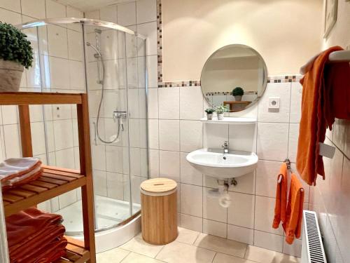 a bathroom with a shower and a sink and a mirror at Ferienwohnung Am Kreuzberg in Schleiden