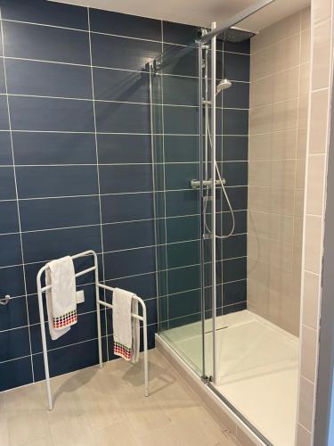 a bathroom with a shower with a glass door at Maison L'Aiguille - 2 appartements, 5 chambres et table d'hôtes au pied de la montagne à la station de Laye in Laye