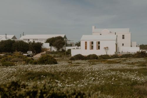 a white house in the middle of a field of flowers at Yzers Boat House in Yzerfontein