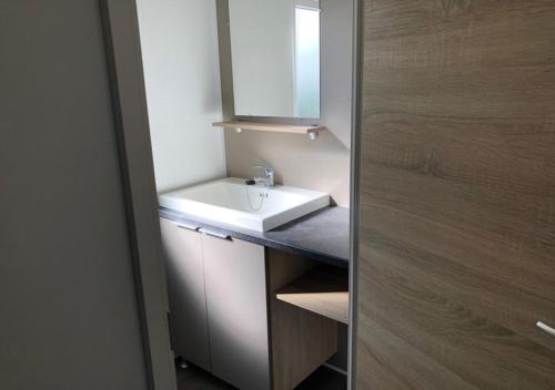 a bathroom with a white sink and a mirror at Mobilhome COSY - espace aquatique - lac in Gastes