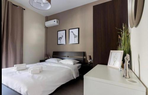4 bedroom penthouse in center of Athens