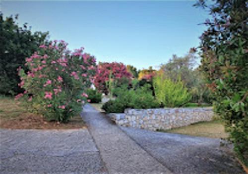 Κήπος έξω από το Kaiti Villa 4